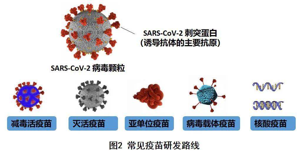 艾滋初期皮肤症状图片_艾滋初期盗汗是长期吗_艾滋病初期