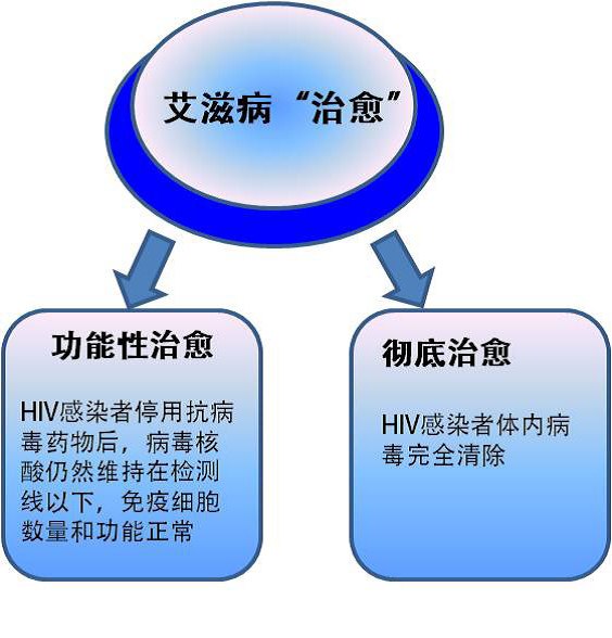 2017艾滋治愈型疫苗_中国治愈艾滋最新突破_治愈艾滋病
