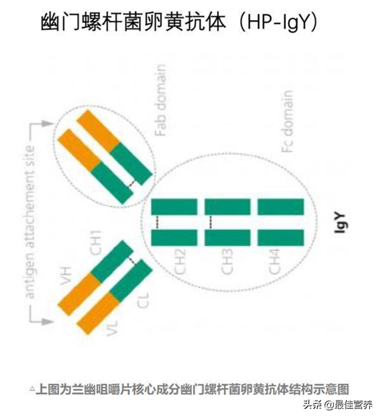 艾滋治愈十一个月一针_治愈艾滋病_2030年艾滋治愈