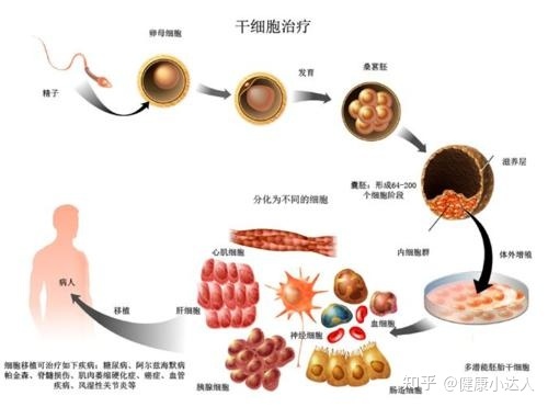 能治愈艾滋病的水果_有治愈艾滋病的中药吗_艾滋病治愈