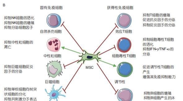 艾滋病治愈_2018艾滋最新治愈信息_艾滋治愈十一个月一针