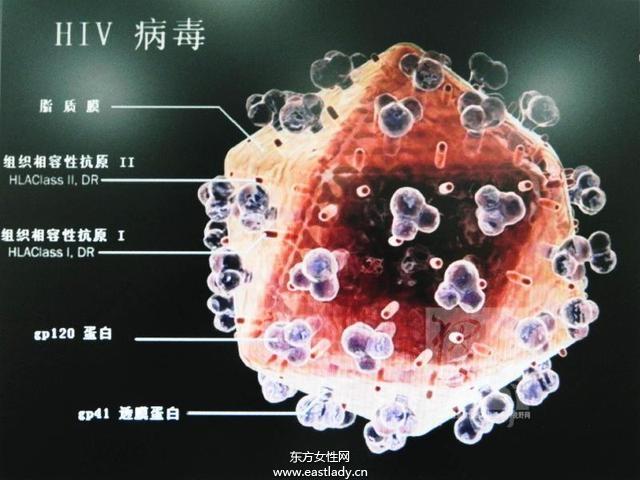 艾滋病感染初期症状_艾滋病的初期症状图片女_艾滋病初期