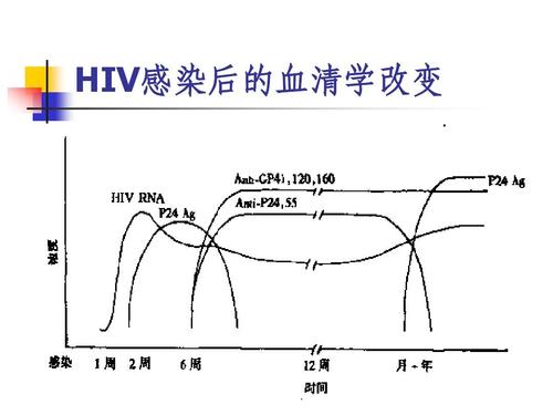 艾滋病急性期_艾滋有急性咽喉炎症状吗_艾滋病的哨点监测期是几个月