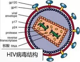 2030艾滋病完全治愈。