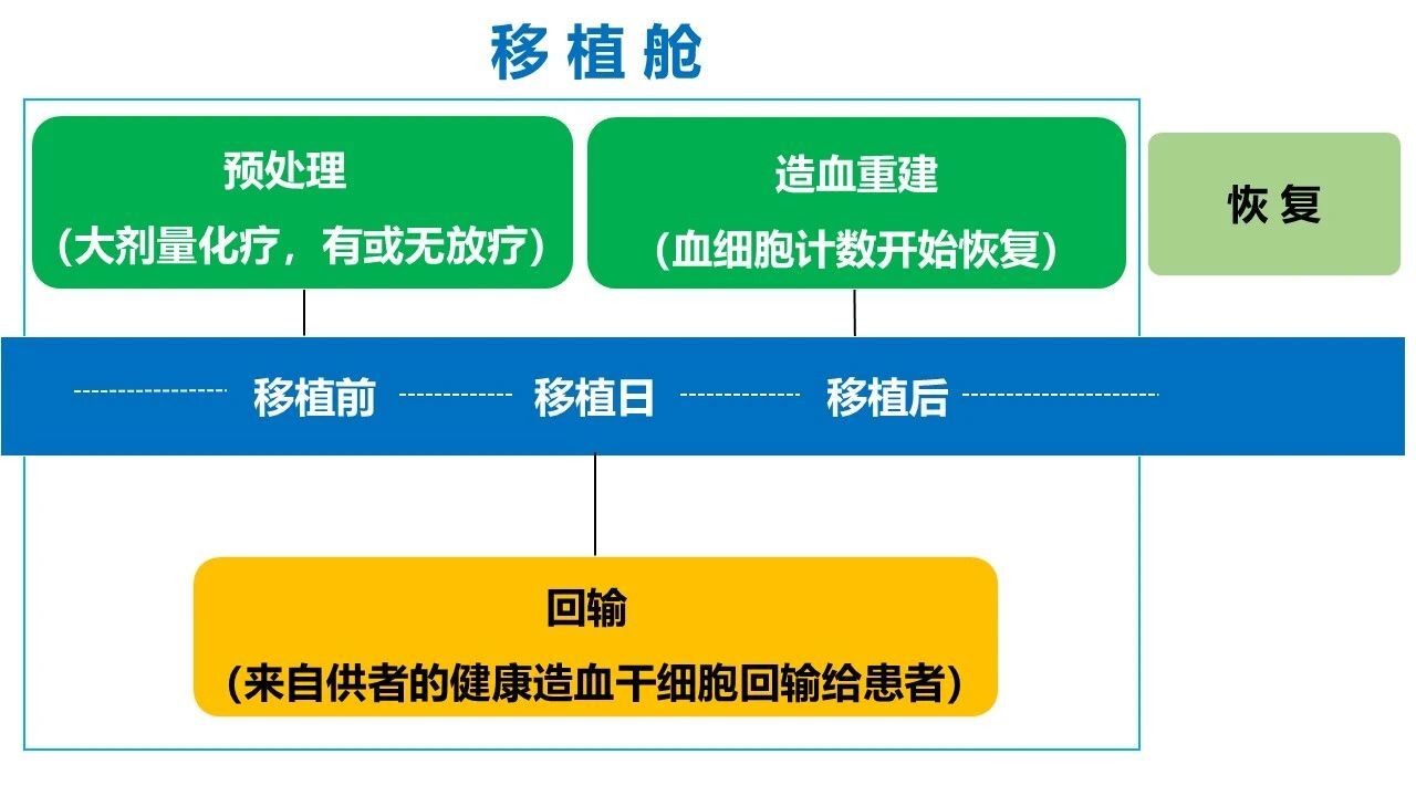 好久才出治愈艾滋病药_艾滋病治愈_有治愈艾滋病的中药吗