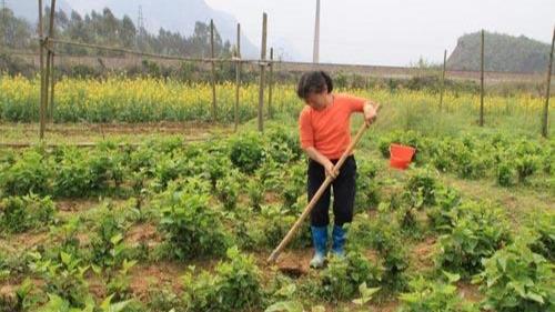 乙肝和艾滋那个病可怕_什么的自述作文什么的自述作文_艾滋病自述