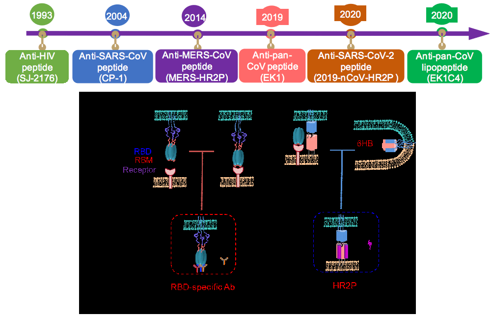 艾滋病治愈_ub421可以治愈艾滋吗_2017艾滋治愈型疫苗