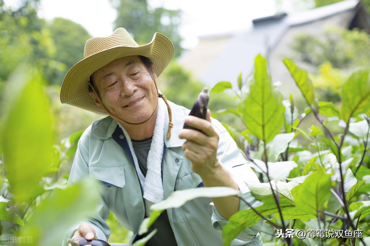 艾滋病自述_一个艾滋病人的自述_艾滋新药杀死艾滋的药