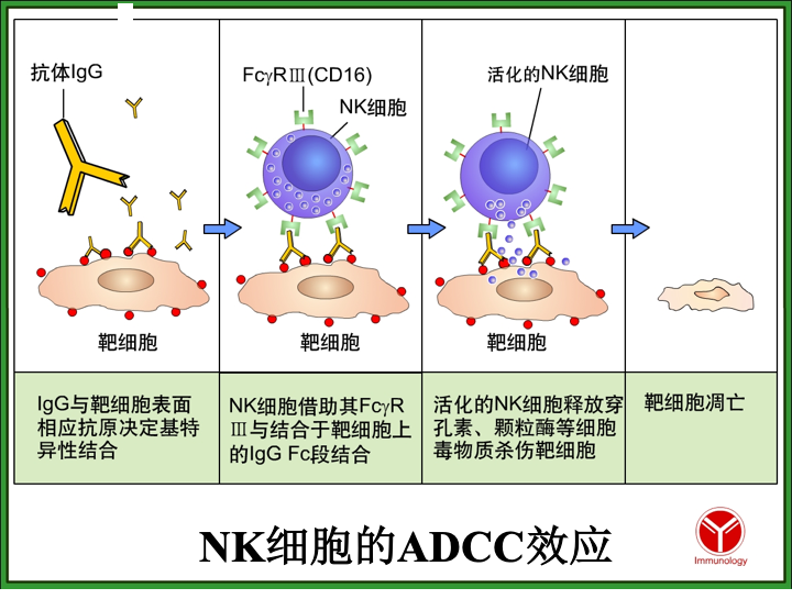 艾滋病急性期_第四代艾滋病检测试剂盒_潜伏期又称什么期在艾滋病中叫什么