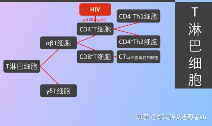 艾滋病检测试剂盒_艾滋病急性期_艾滋急性期会全身瘙痒吗