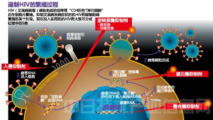 能治愈艾滋病的水果_2018年艾滋功能性治愈_治愈艾滋病