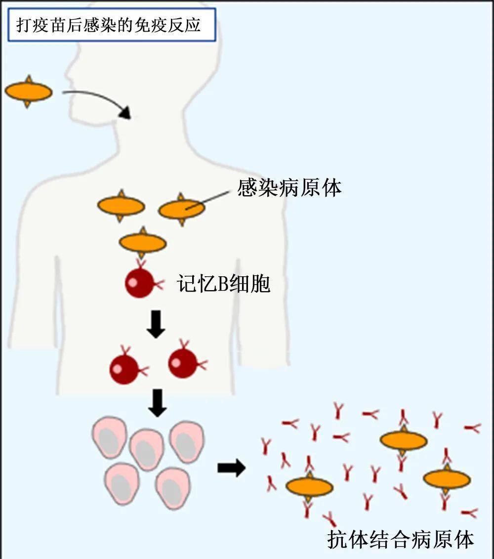 治愈艾滋病_王福生治愈艾滋_2018年艾滋功能性治愈