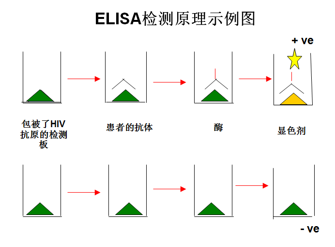 西班牙功能性治愈艾滋_治愈艾滋病_ub421可以治愈艾滋吗