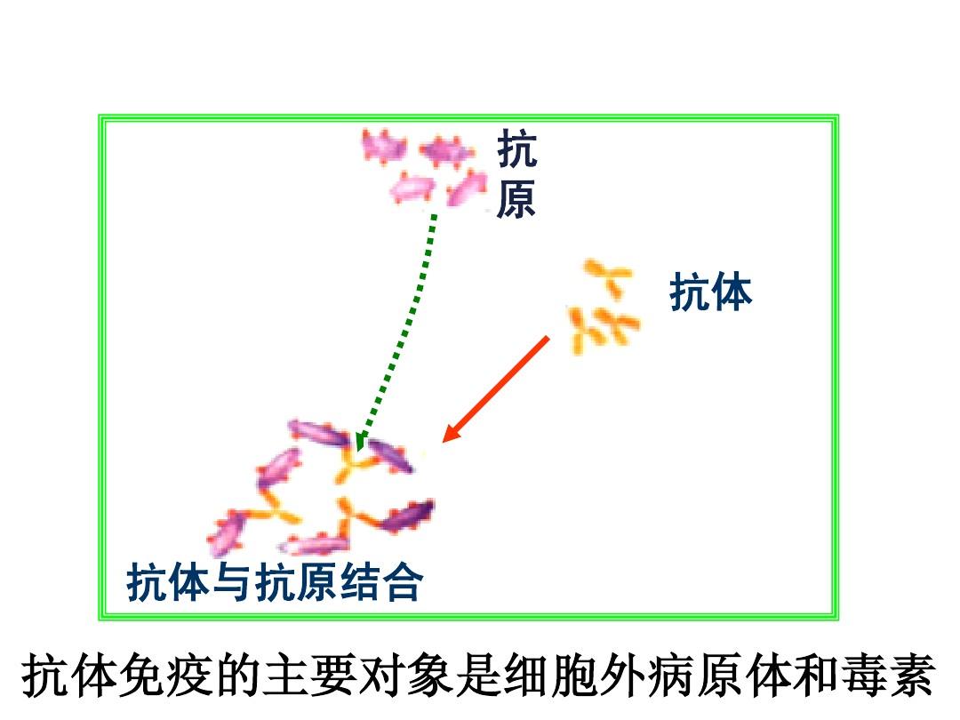 治愈艾滋病_西班牙功能性治愈艾滋_2017艾滋治愈型疫苗