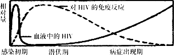 艾滋病初期_艾滋病的初期症状_艾滋初期皮肤症状图片