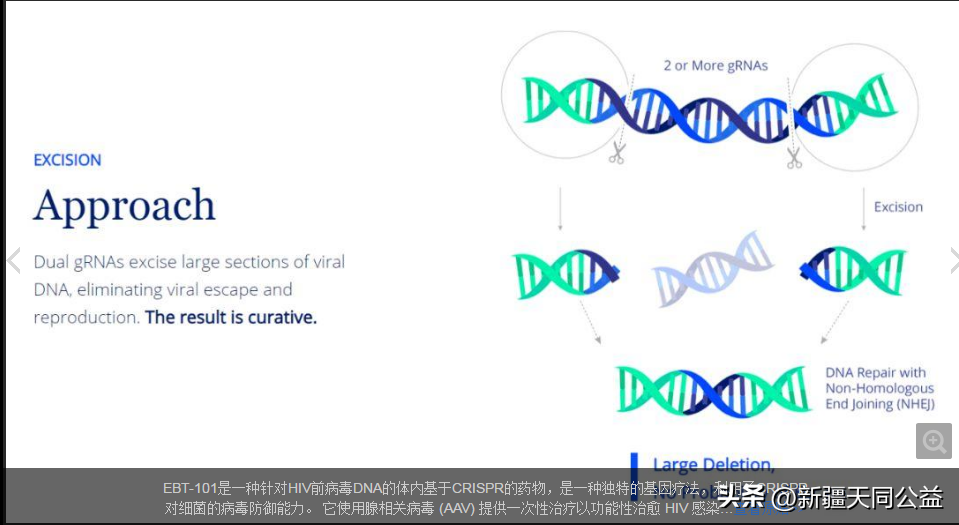 艾滋治愈_艾滋病治愈_中国治愈艾滋最新突破