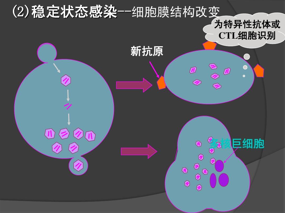 有治愈艾滋病的中药吗_治愈艾滋病_2030年艾滋治愈