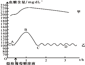 艾滋感染者自述_艾滋病人自述_艾滋病的感染者和病人有什么区别