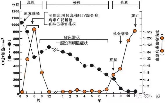 艾滋病感染初期症状_艾滋病初期_艾滋病感染初期一定有症状吗