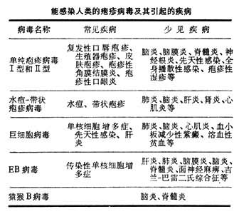 男性疱疹图片初期症状_汗疱疹是艾滋病初期症状吗_女性疱疹初期症状