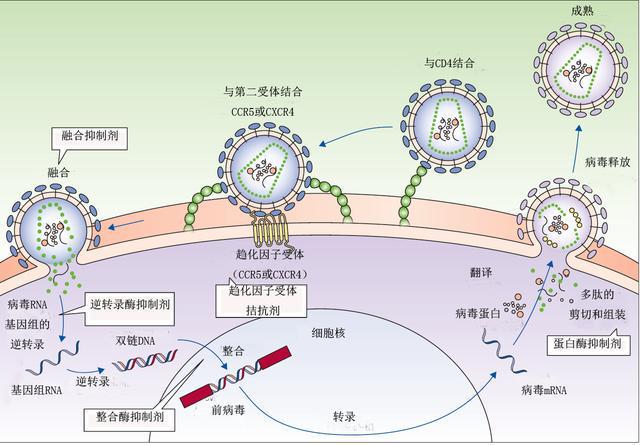 艾滋感染者自述_伍修权将军自述/将军自述丛书_艾滋病人自述