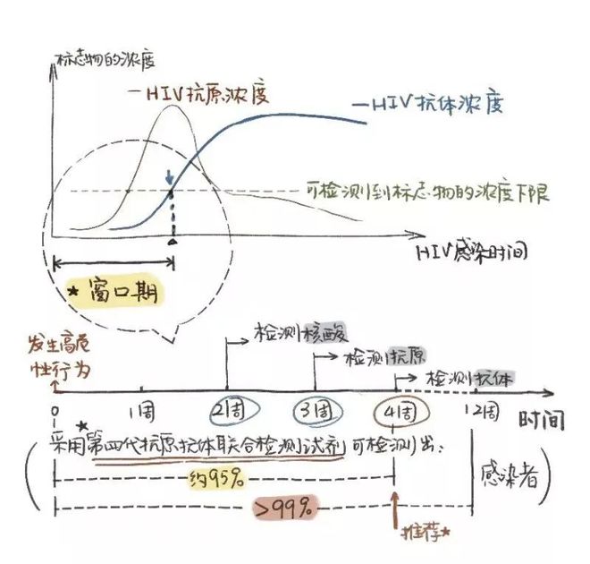 艾滋治愈研究_艾滋何时治愈_艾滋病治愈