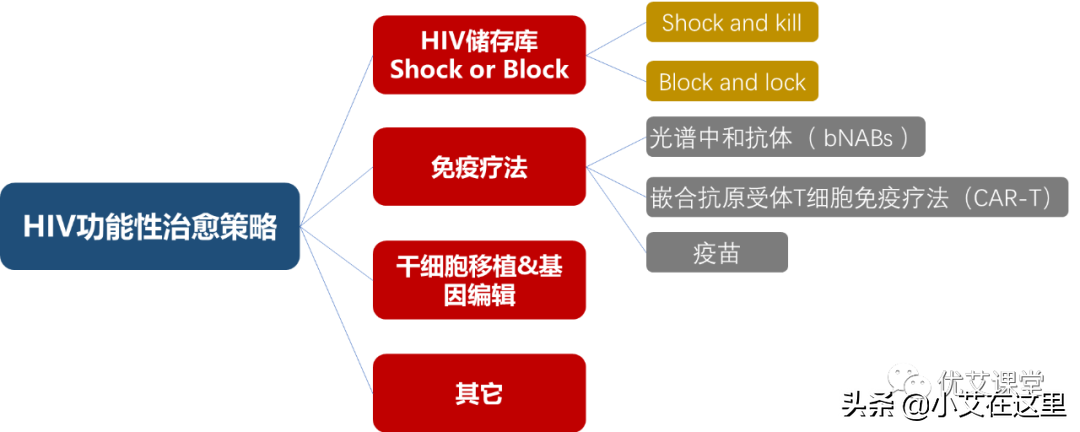 艾滋功能性治愈_好久才出治愈艾滋病药_艾滋病治愈