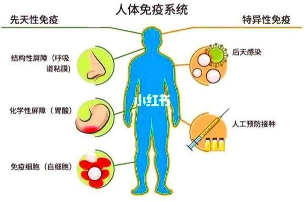 女性得艾滋病的初期症状图片_艾滋病初期_艾滋病的初期症状图片女