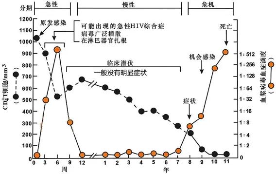 艾滋病的初期症状_女性得艾滋病的初期症状_艾滋病初期