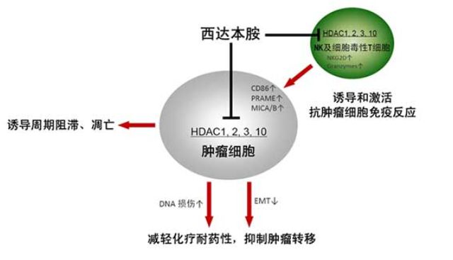 能治愈艾滋病的水果_中国治愈艾滋最新突破_治愈艾滋病