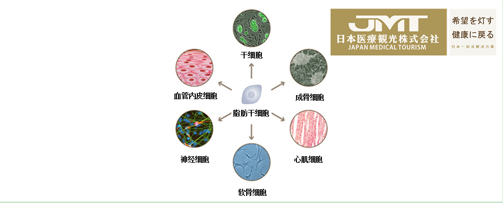 好久才出治愈艾滋病药_艾滋病治愈_2018艾滋最新治愈信息