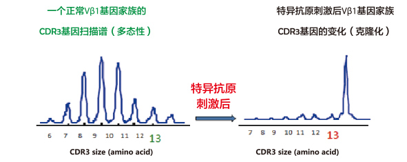 艾滋病感染一般初期会有什么症状_感染艾滋病的初期症状_艾滋病初期