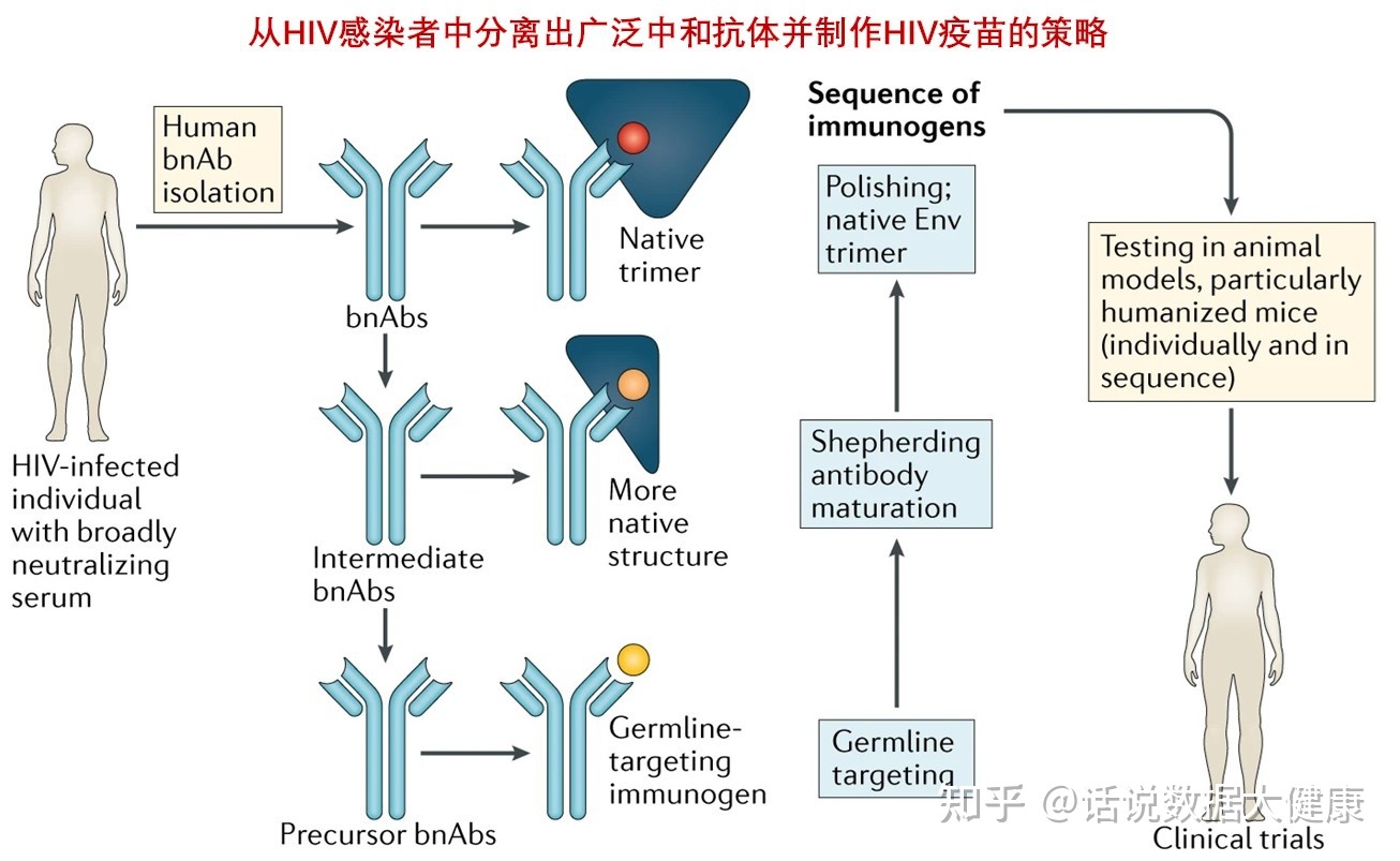 丹麦艾滋治愈15人_2018艾滋最新治愈信息_治愈艾滋病