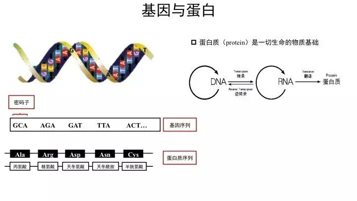 艾滋治愈_艾滋病治愈_2030年艾滋治愈