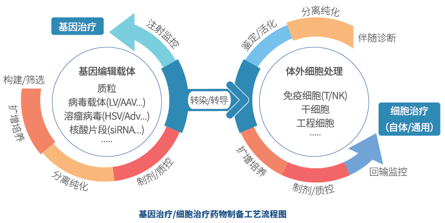 2017艾滋治愈型疫苗_治愈艾滋病_外国功能性治愈艾滋