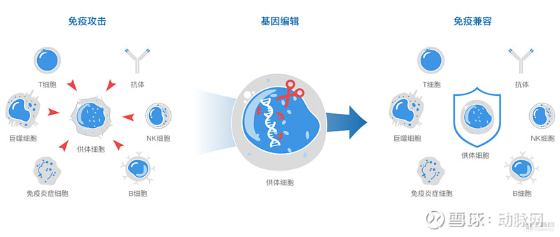 2017艾滋治愈型疫苗_治愈艾滋病_外国功能性治愈艾滋