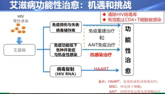 2030年艾滋治愈_治愈艾滋病_艾滋能不能治愈