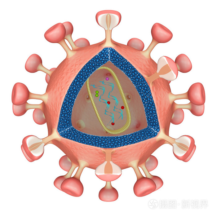 艾滋病治愈_艾滋治愈新闻_艾滋治愈研究