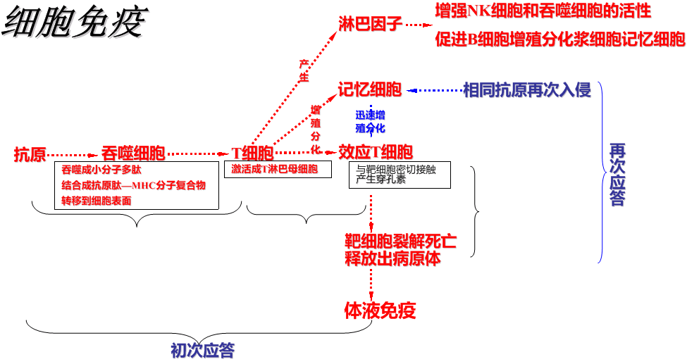 艾滋治愈研究_治愈艾滋病_有治愈艾滋病的中药吗