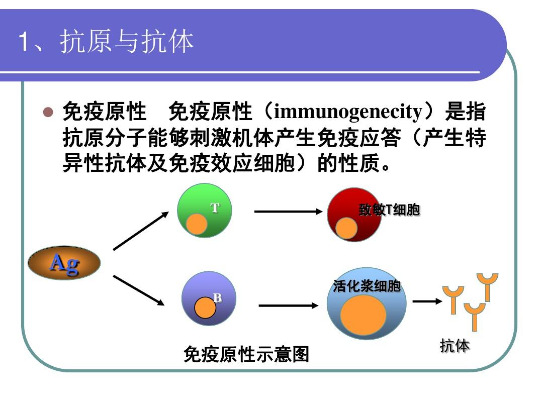 有治愈艾滋病的中药吗_治愈艾滋病_艾滋治愈研究