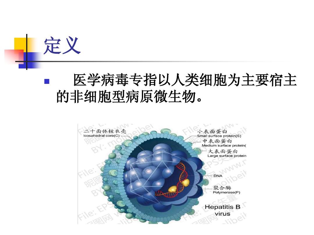 治愈艾滋病_2017艾滋治愈型疫苗_艾滋能不能治愈