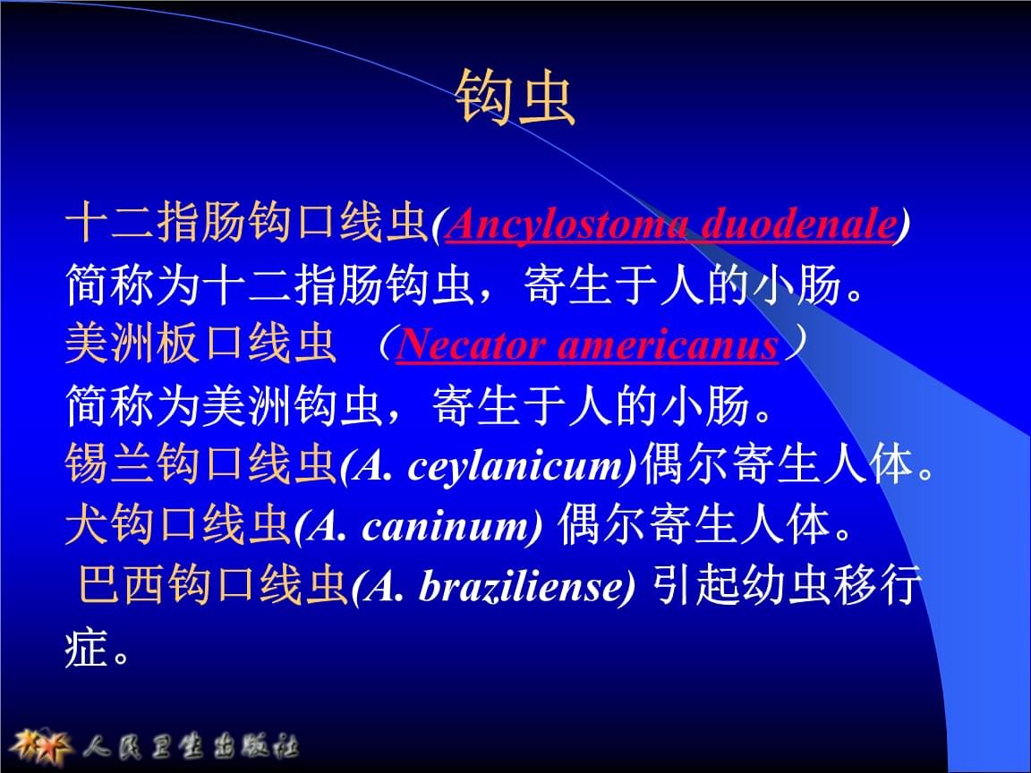 下列哪项是艾滋病的哨点监测期_艾滋病的哨点监测期是多久_艾滋病急性期