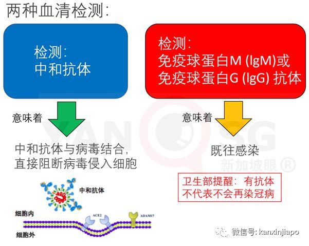 口腔粘膜病破损艾滋_艾滋急性_艾滋病急性期