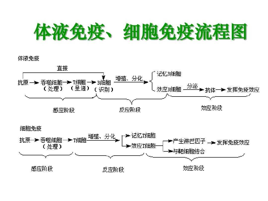 有治愈艾滋病的中药吗_治愈艾滋病_2018年艾滋功能性治愈