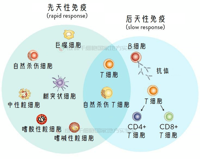 艾滋功能性治愈_治愈艾滋病_2018艾滋最新治愈信息