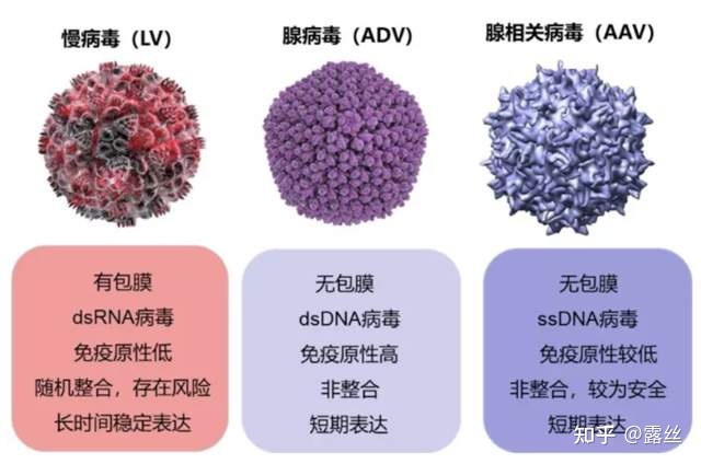 艾滋治愈_艾滋病治愈_外国功能性治愈艾滋