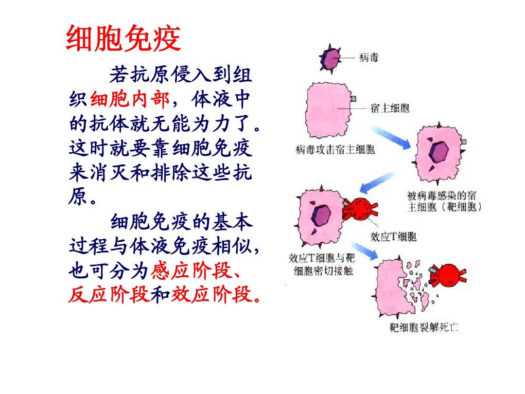 有治愈艾滋病的中药吗_艾滋治愈_治愈艾滋病