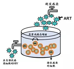 2017艾滋治愈型疫苗_治愈艾滋病_艾滋治愈