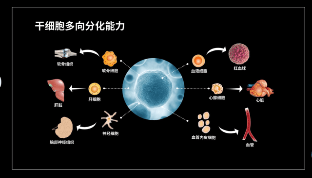 中国治愈艾滋最新突破_治愈艾滋病_有治愈艾滋病的中药吗