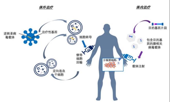 治愈艾滋病_外国功能性治愈艾滋_艾滋何时治愈